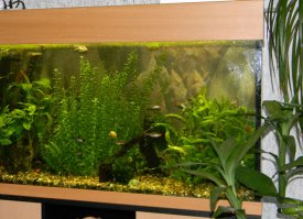 вот немного за последние 10 лет вариантом