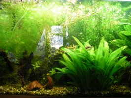 вот немного за последние 10 лет вариантом