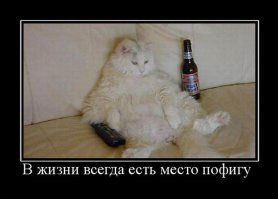 Хаски оставили одного на три часа, и вот что он сделал с домом