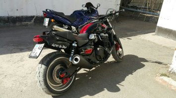 Раз уж начали хвастаться то и я своего любимца покажу!)))