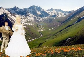 гарем из брёвен?