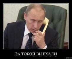 Полицейские обнаружили арсенал из 10 000 стволов, которые предназначались террористам