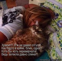 Подборка прикольных фото