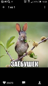 Любимое комбофото