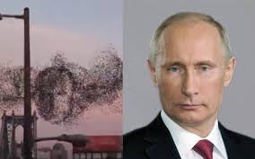 померещилось)