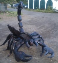 Забавные дизайнерские идеи для тех, кто любит животных