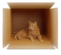 Достаточно было простой коробки