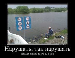 Они пошли против системы