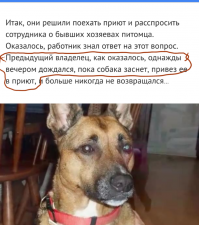 Вот тут я что-то непонял? Притом конкретно! "Предыдущий владелец, как оказалось, однажды вечером дождался, пока собака заснет, привез ее в приют". Не-е, серьёзно??! У меня в семье, четыре человека работают, я, жена, доча и сын. И у всех разный график работы. Так вот, пока самый последний, не придет с работы, и не ляжет спать, мой собакен, хрен уснет. Собака это не только друг человека и член семьи, но и охранник!  Бред какой-то. Что же там за хозяива раньше были,
