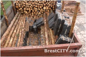 У нас в бресте постоянно в поездах на польшу сигареты таскали в охрененных маштабах