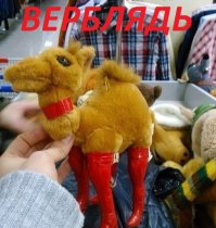 Картинки с надписями