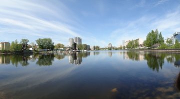 Ой сколько мы её в ковше на Васильевском в детстве переловили!