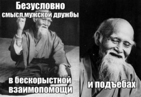 Лучшим друзья посвящается! Bird Born