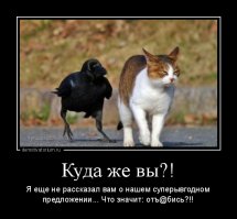 Как же надоели эти навязчивые консультанты