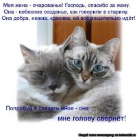 Пробный брак