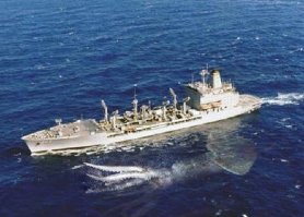 15 самых гигантских животных, когда-либо населявших нашу планету