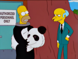 Униформа работника китайского зоопарка — костюм панды