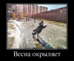 Тут ребенок наверняка ударился головой, тебе бы автор такого окрыления.....