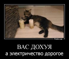 Что придумала студентка, чтобы блестяще сдать экзамен…?!