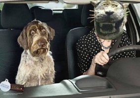 Статую "тигра-улыбаки" снесли после бешеной популярности в интернете