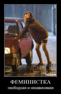 Что такое равноправие?	