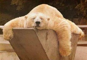 Фотоподборка за 20.03.2017