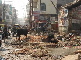 рыготня зачётная...."блюда" состоят из мусорных куч иногда вообще не сочетаемых ингредиентов, и подача....на железном подносе-тарелке....или на ....газетке!....на жаре круглогодичной, в антисанитарии....пздц.какой то....