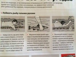 C квоком и мудростью