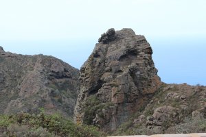 кто льва видит?