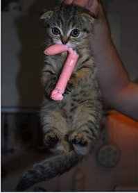 Забавные моменты, попавшие на фото