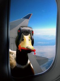 Потрясающий вид из окон самолетов