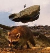 Так и не могу понять, что это такое? Что-то прилипло на стекло?