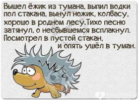 Смешные комментарии и высказывания из социальных сетей