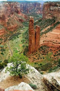 Свежая кучка фоток 