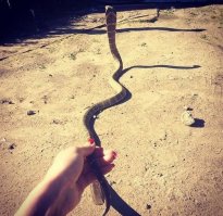 Очень по-русски. Душевно, я бы сказал.