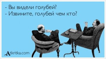 История голубеводства