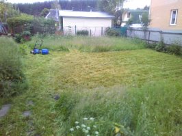 На даче исключетельно отлично !!)
Раньше да,грядкотерапия каждый год до 2006 года включительно а потом только как место для отдыха (на велике порассекать,шашлычки,купание в водоёмах,свежий воздух,пение соловьёв по весне),Сейчас агрофитнес - это максимум по участку с газонокосилокой пробежатся(по ровным местам с аталкой,по слабодоступным-с триммером наперевес) и ... Отдых ! Всё что было вышеперечислено с музончиком разнообразным ))