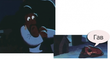 15 доказательств, что наши питомцы видят то, что недоступно человеческому глазу