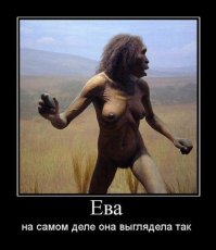 Излюбленные демотиваторы