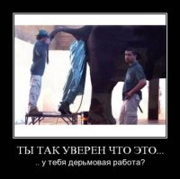 Излюбленные демотиваторы