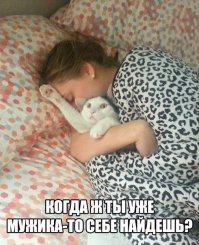 Коты - лучшие друзья девушки