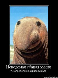 Излюбленные демотиваторы