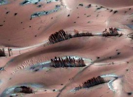 это не фотошоп. ученые считают что это лес из кристаллов.