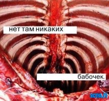 Женщины, что творится в ваших головах?