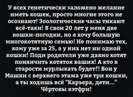 Коты - лучшие друзья девушки