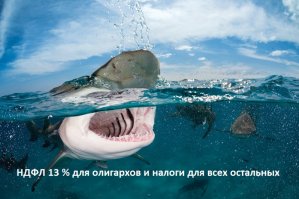 Фотоподборка за 21.03.2017