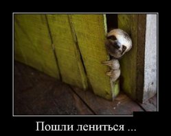 Да иду я, иду! Пародия на "Следуй за мной" по-русски и не только