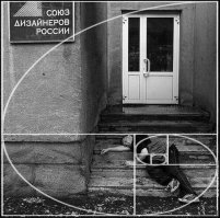 Сон - лучшее лекарство 