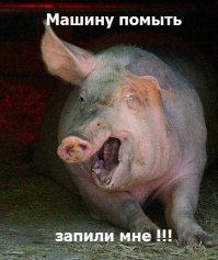 Женщина пригнала машину на мойку