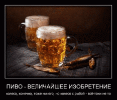 История моих взаимоотношений с пивом